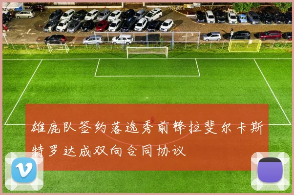 雄鹿队签约落选秀前锋拉斐尔卡斯特罗达成双向合同协议